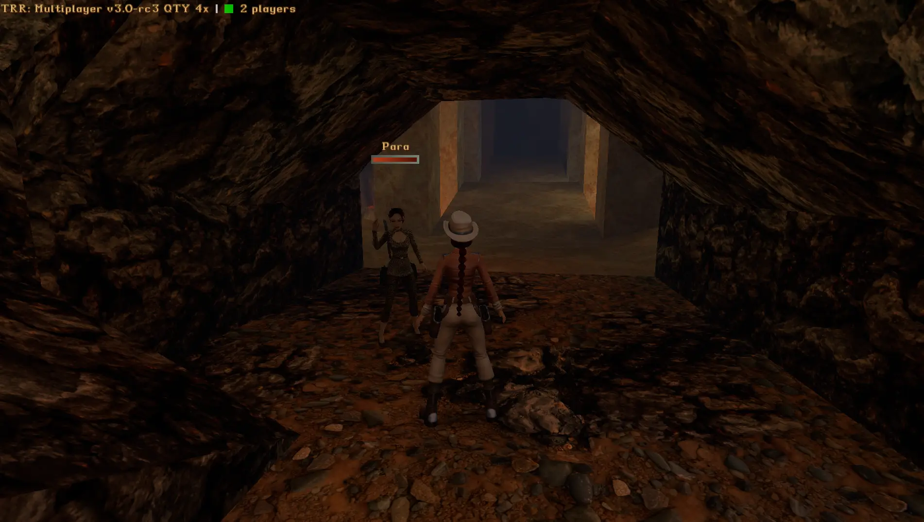 A partner in a level with their name and health bar over their head